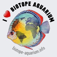 Биотопные аквариумы | Подводные фотографии