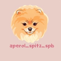 aperol_spitz_spb