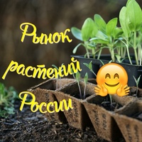 Рынок растений России