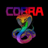 Cobra Dn, Беларусь, Минск
