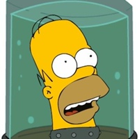 Simpson Homer, Springfield
