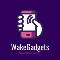 Gadgets Wake, Россия, Пермь