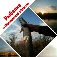 Рыбалка в Московской области