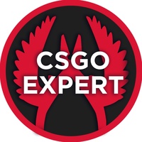 CSGO Expert