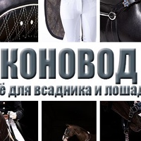 Сёдла для лошади и конного спорта б-у в Москве.