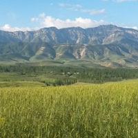 Жороев Байдылда, Кыргызстан, Ош