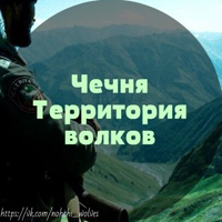 Чечня. Территория волков.©