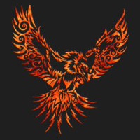 Second Life -  Phoenix / Firestorm