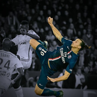 Ibrahimovic Zlatan, Франция, Paris