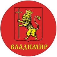Рагимов Артур, Россия, Владимир