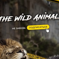 The Wild Animals
