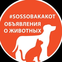 Объявления о животных в Беларуси