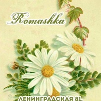 Доставка цветов Вологда/ Цветы Вологда Romashka