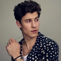 Mendes Shawn