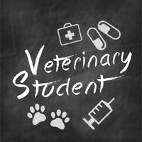 Студент-ветеринар