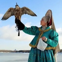 Falcon Phinist, Россия, Крым