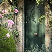 Зеленая дверь (вдохновение, уют, красота)