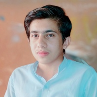 Habib Faizan, Пакистан, Faisalābād