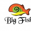 Fish Big, Украина, Киев