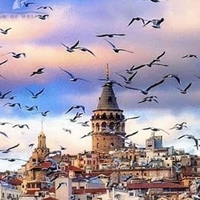 Kara Poyraz, Турция, İstanbul