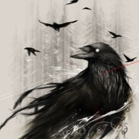 Crow Black, Россия, Омск