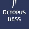 Bass Octopus, Россия, Челябинск