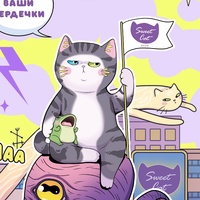 Cat Sweet, Россия, Иваново