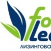 Leasing Forest, Россия, Пермь