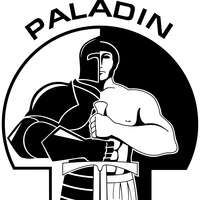 Paladin Group | Фехтование