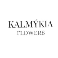 Flowerss Kalmykia, Элиста