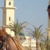 Camel Wel, Египет, Hurghada