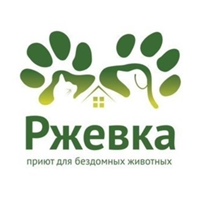 СПб. Приют «Ржевка» для бездомных животных