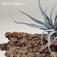 Ideas Decor, Россия, Ростов-на-Дону