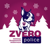 Помощь бездомным животным ZVEROpolice Ярославль