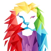 THE LION GROUP